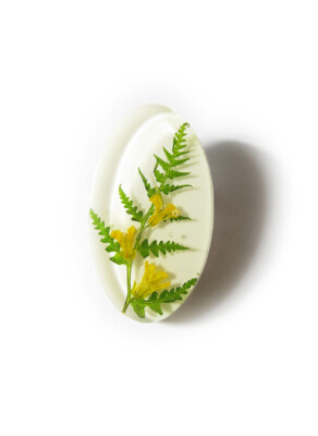 Sõnajalg ja tõlkjas